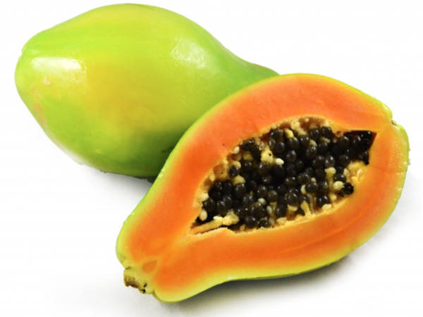 PAPAYA